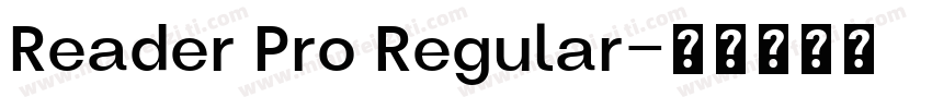 Reader Pro Regular字体转换